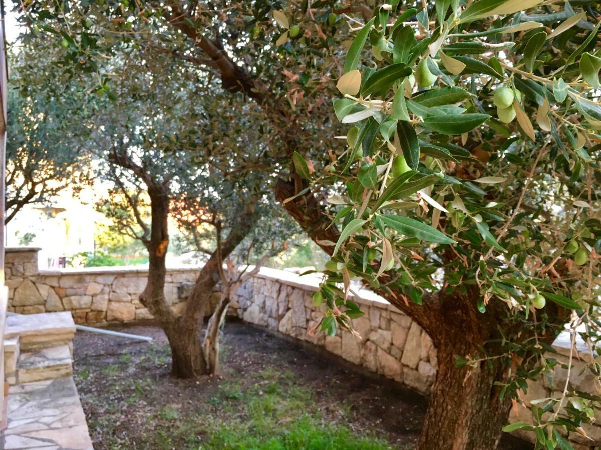 Ferienwohnung Lavender House Maslenica Exterior foto